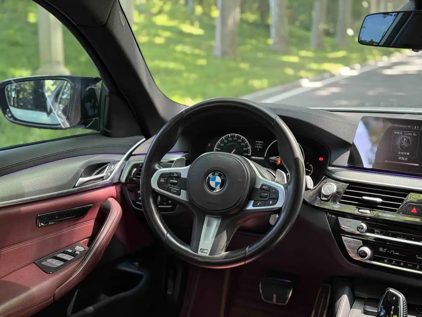BMW 5 Series 2019 530Li Leading M Sport Package фото 6
