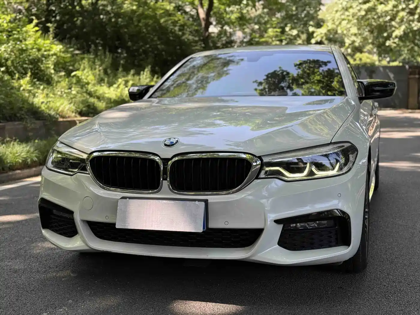 BMW 5 Series 2019 530Li Leading M Sport Package фото 17