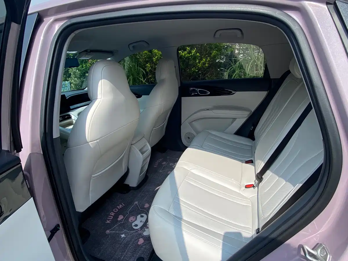 Geely Galaxy Starry Wish 2025 310km Youth Edition фото 9