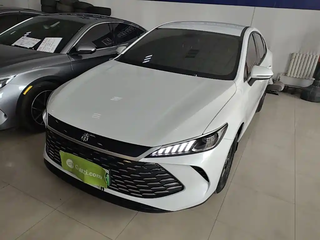 BYD Qin PLUS 2025 DM-i Smart Drive 55KM Leader
