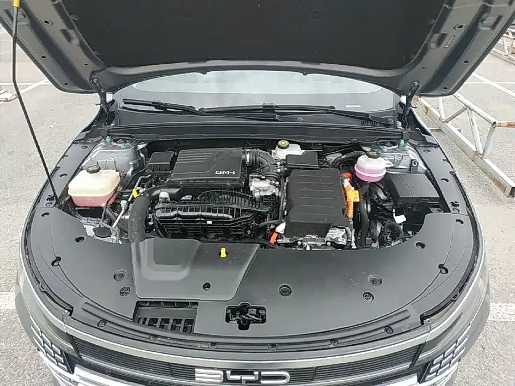 BYD Destroyer 05 2024 Glory Edition DM-i 55KM Luxury фото 20