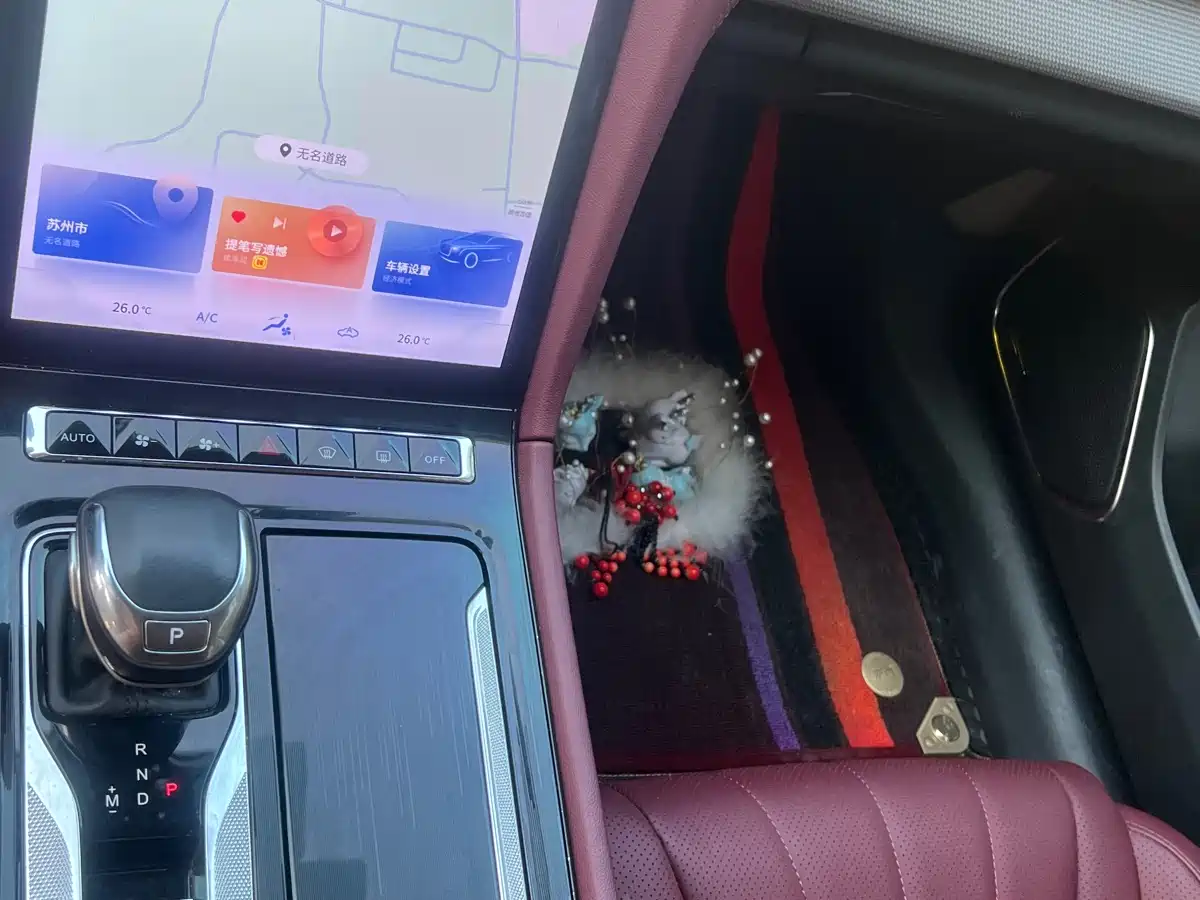 Hongqi H5 2023 1.5T DCT Smart Connect Joy Edition фото 9