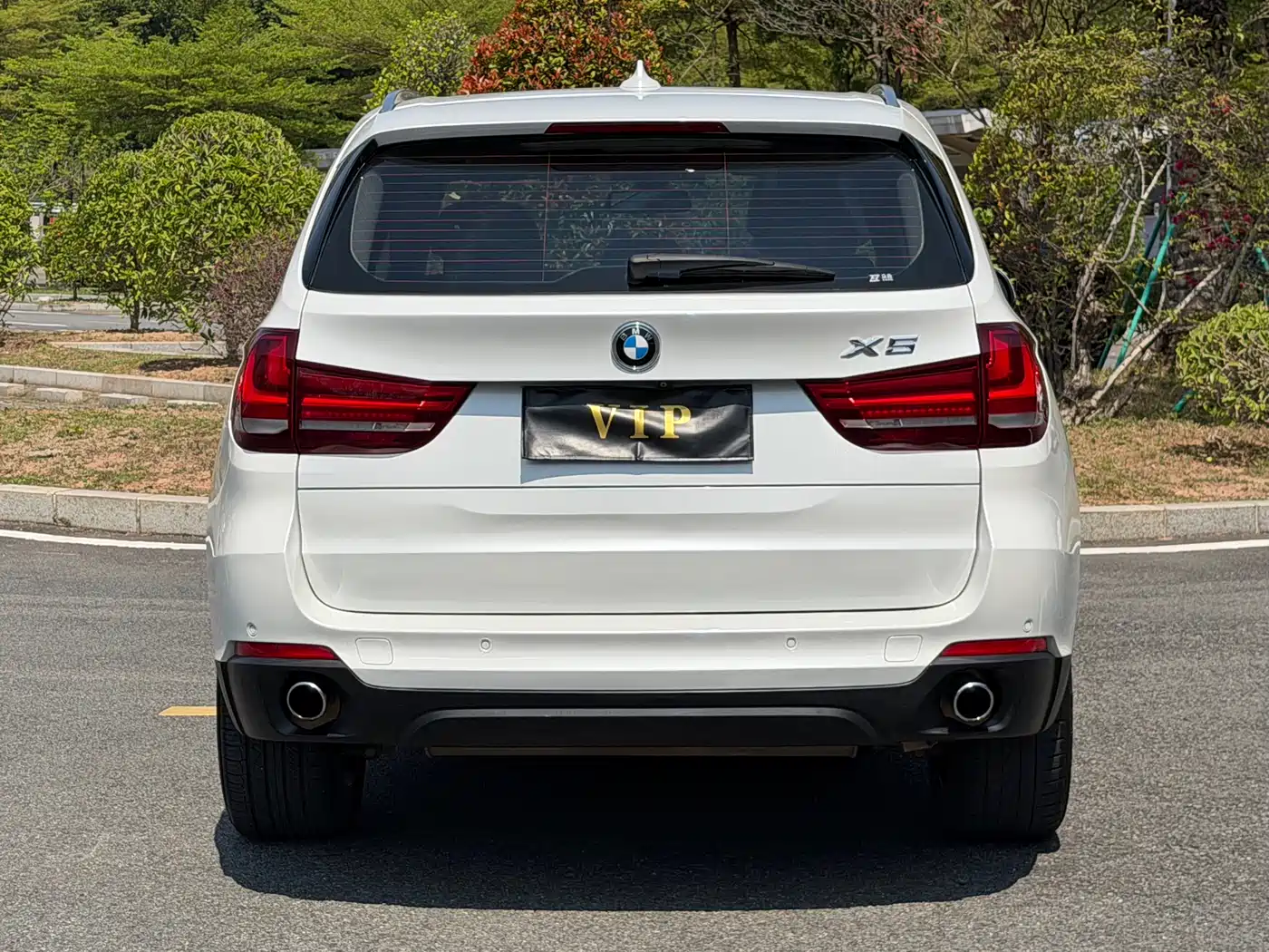 BMW X5 (Import) 2014 xDrive35i Leading фото 5