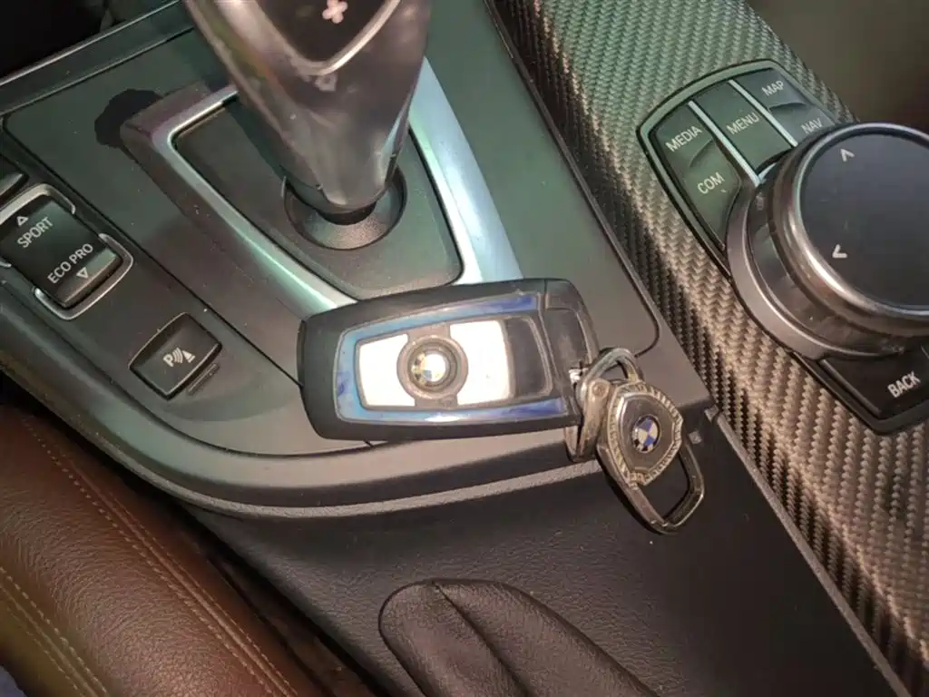 BMW 3 Series 2019 320Li M Sport Black Night Edition фото 9