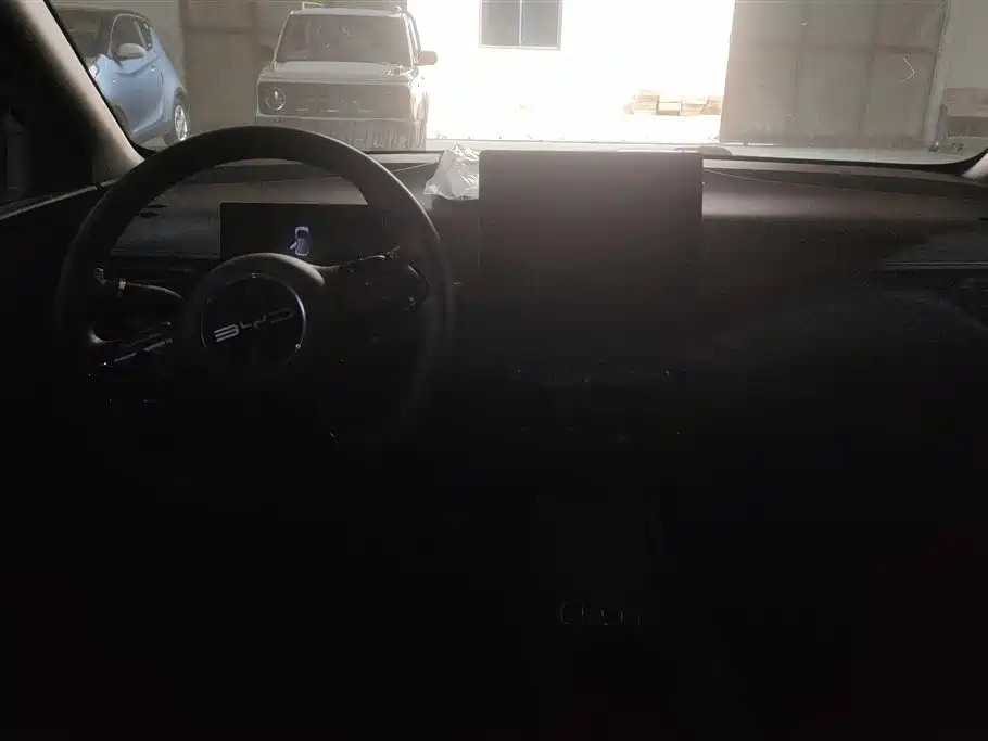 BYD Seagull 2023 Vitality Edition фото 12