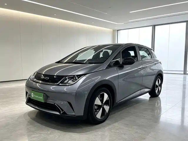 BYD Dolphin 2024 Glory Edition 420km Freedom Edition