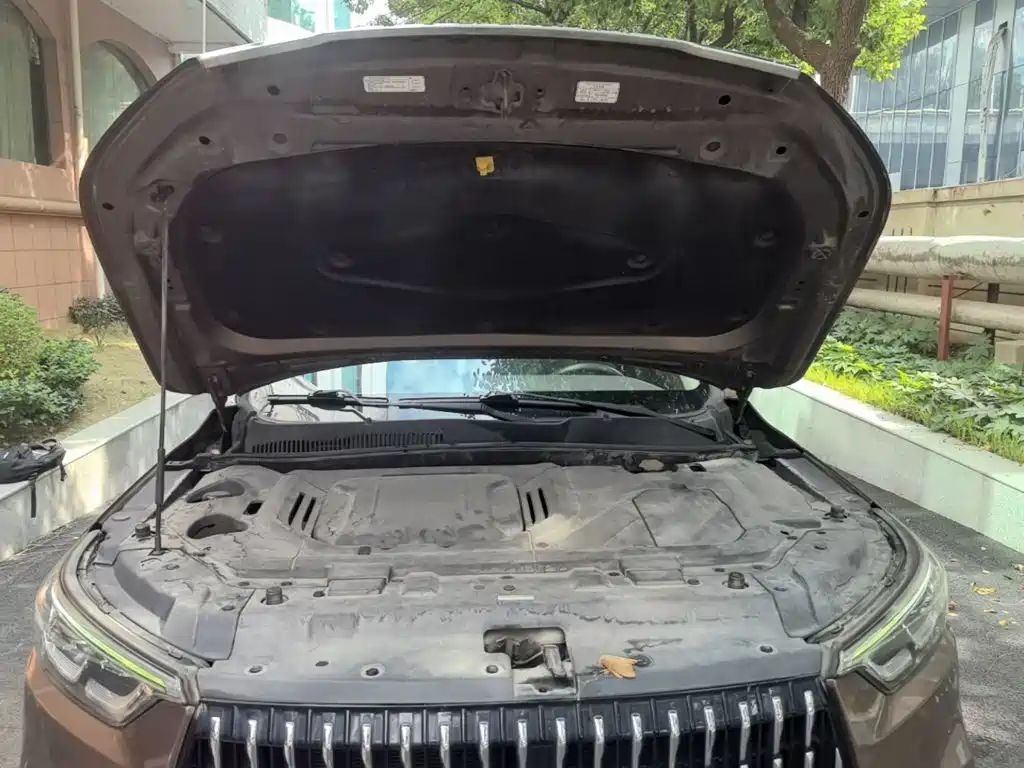 Leopaard Mattu 2019 2018 1.6T GDI DCT Elite