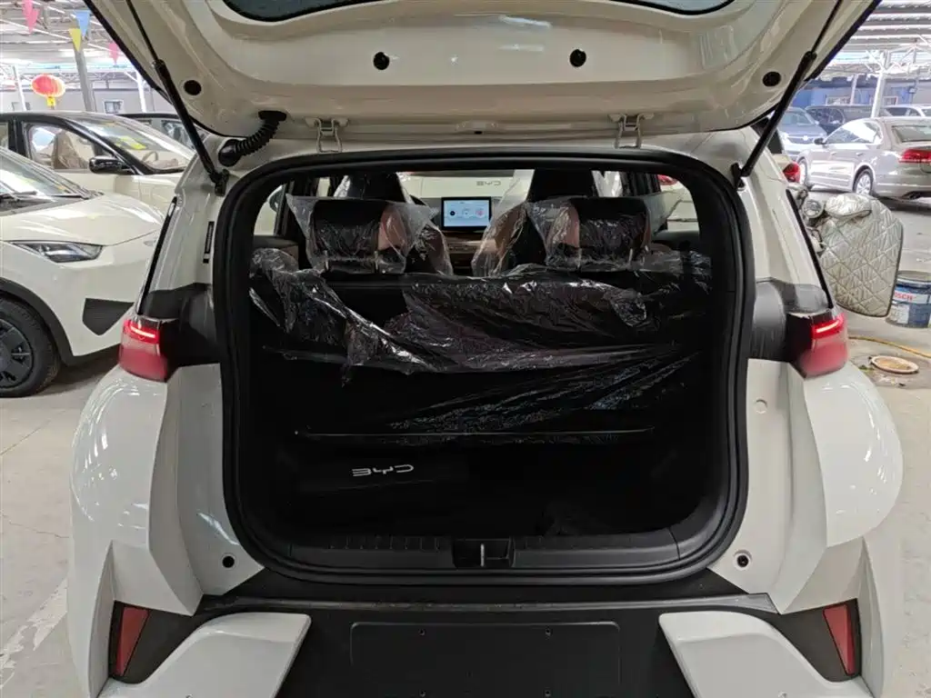 BYD Seagull 2025 Smart Drive Edition 305km Vitality Version фото 19