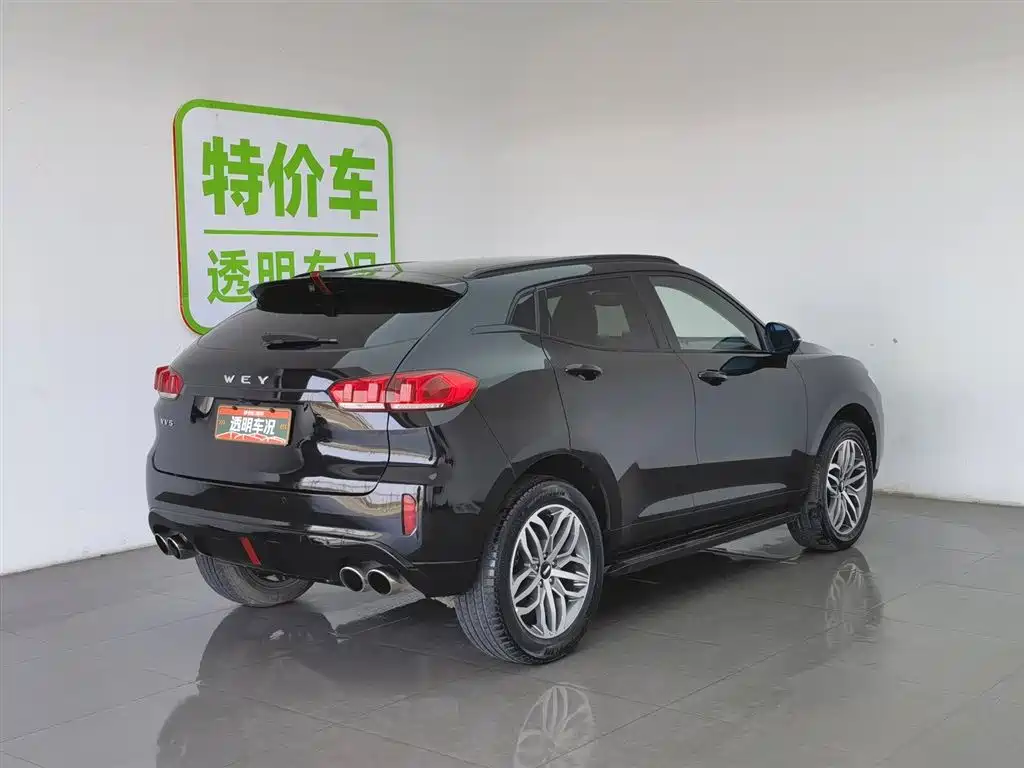 WEI PAI WEI BRAND VV5