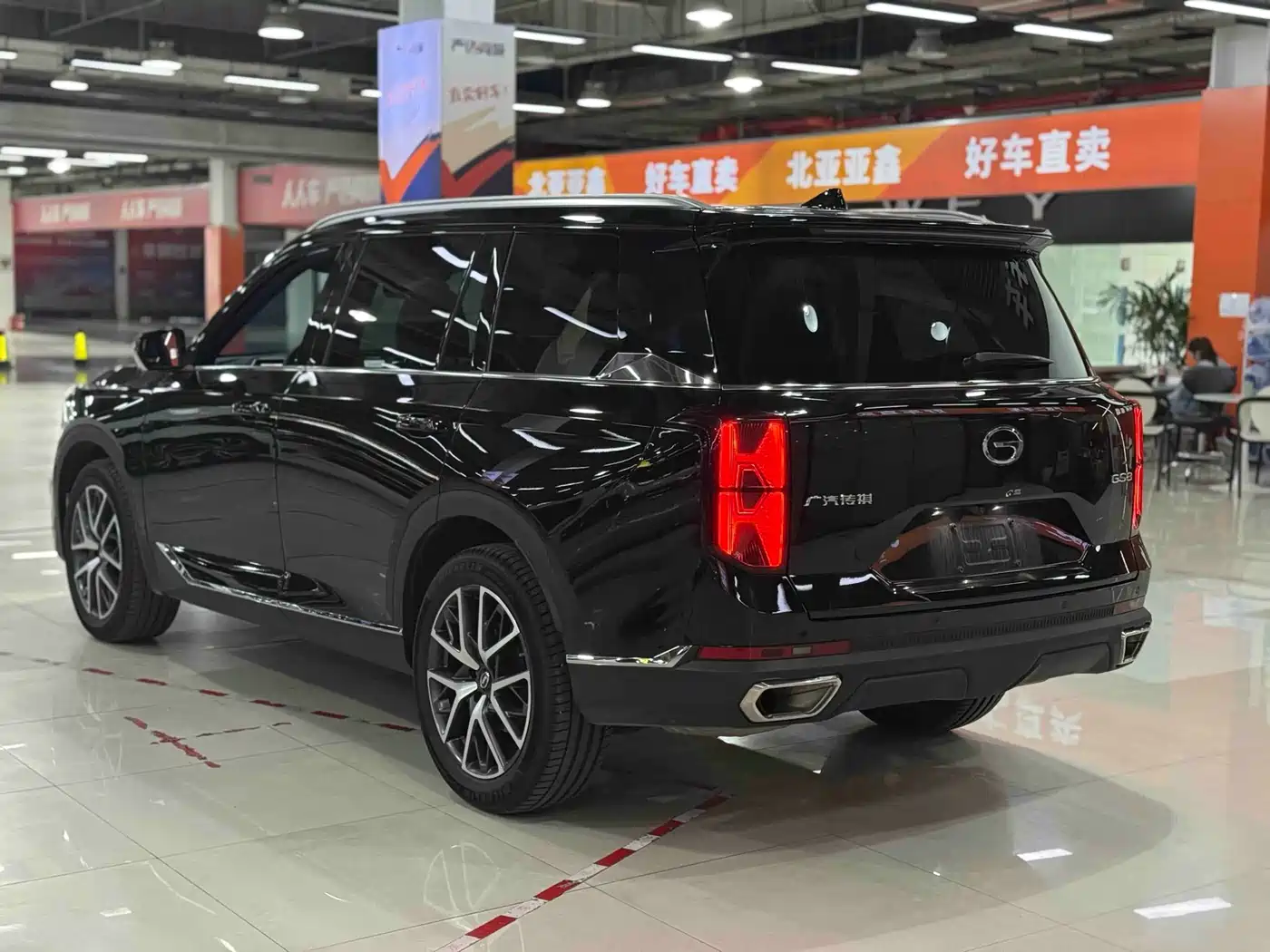 GAC Trumpchi Trumpchi GS8 2025 Pilot Series 2.0TGDI 2WD Luxury Edition 5-seater фото 14