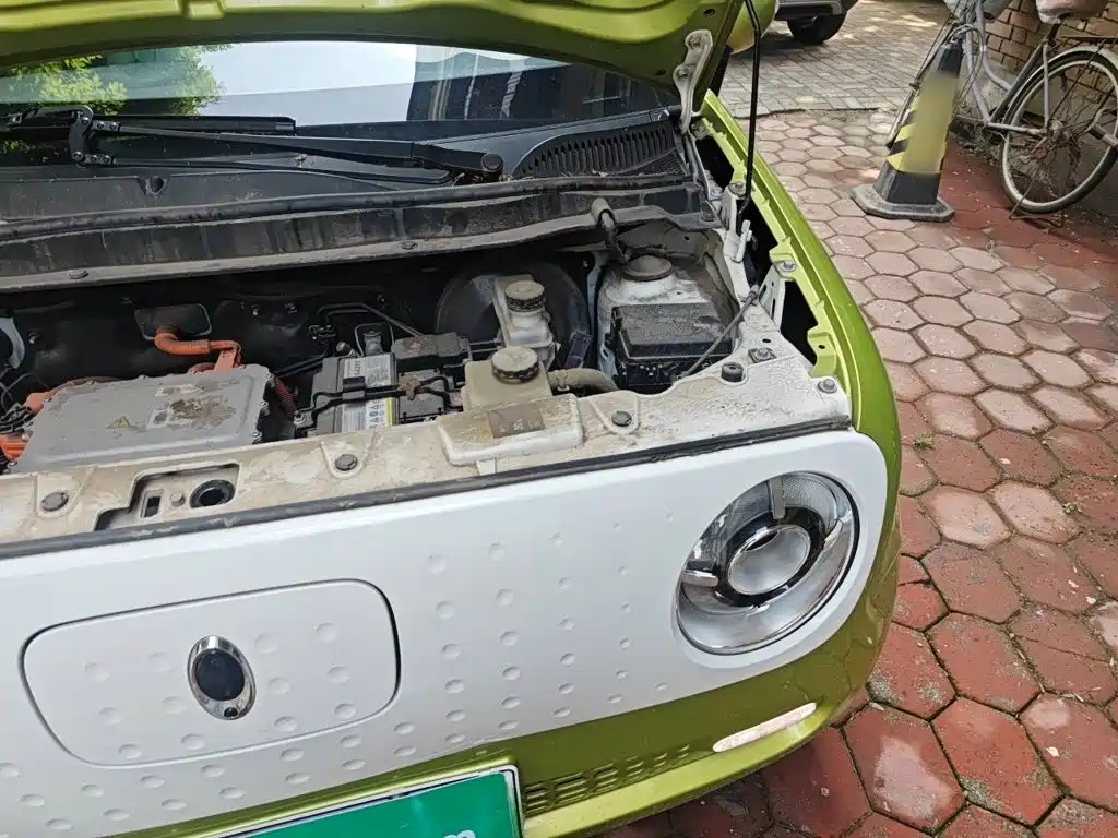 Ora Black Cat 2020 2021 351km Standard Model