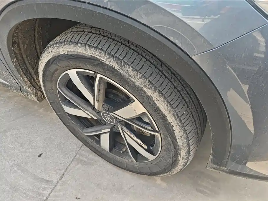 BYD SONGJIANG NEW ENERGY