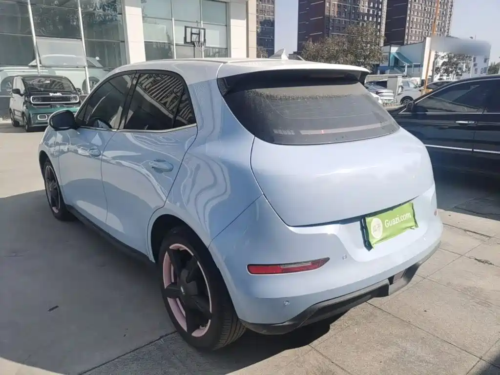 Ora Good Cat 2023 2022 400km Standard Range Luxury LFP