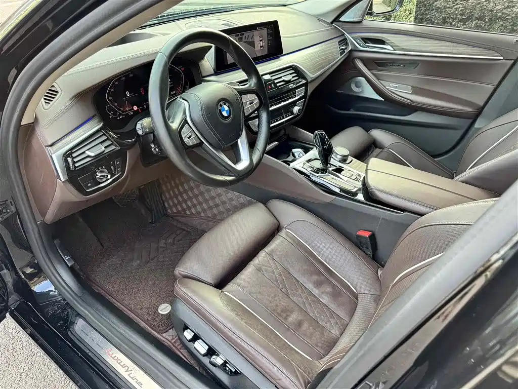 BMW 5 Series 2020 Model 530Li Executive Luxury Package фото 5