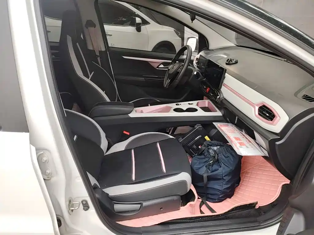 Sehol Flower Fairy 2021 2021 302km Luxury Edition 31.4kWh