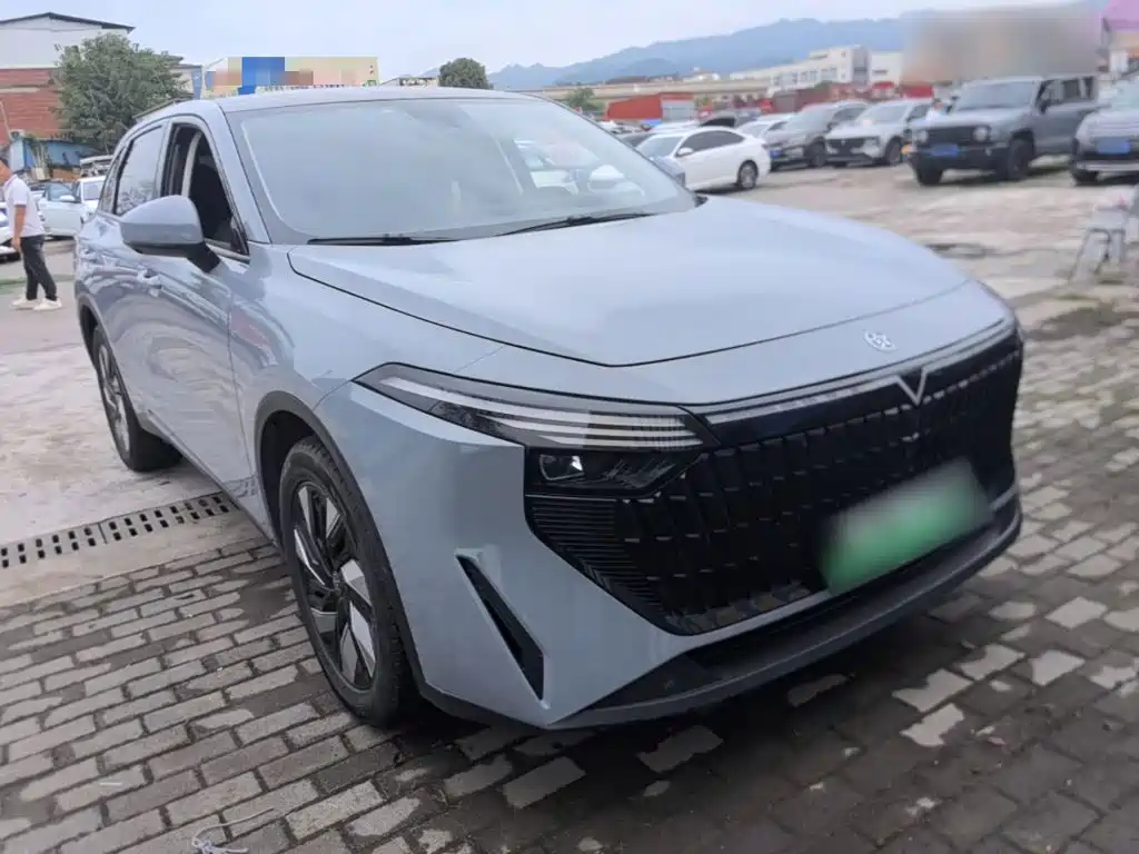 Venucia DaV DD-i 2024 2023 110km iE Edition