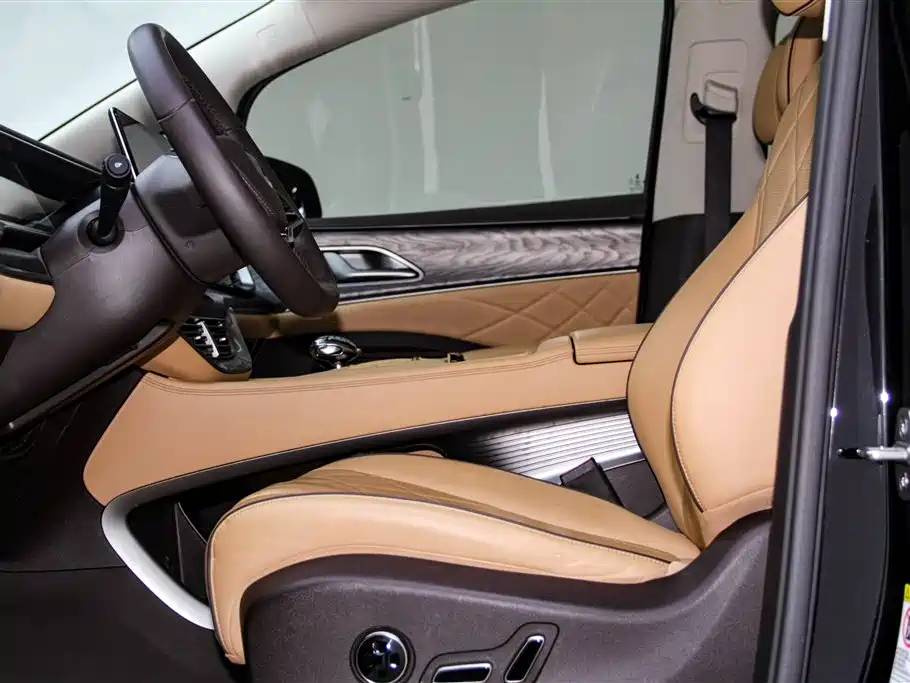 Denza D9 2024 DM-i 980 AWD Premium фото 22