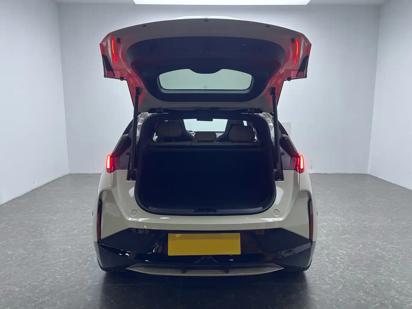 ZEEKR EXTREME KRYPTON X