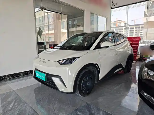 BYD Seagull Энергия