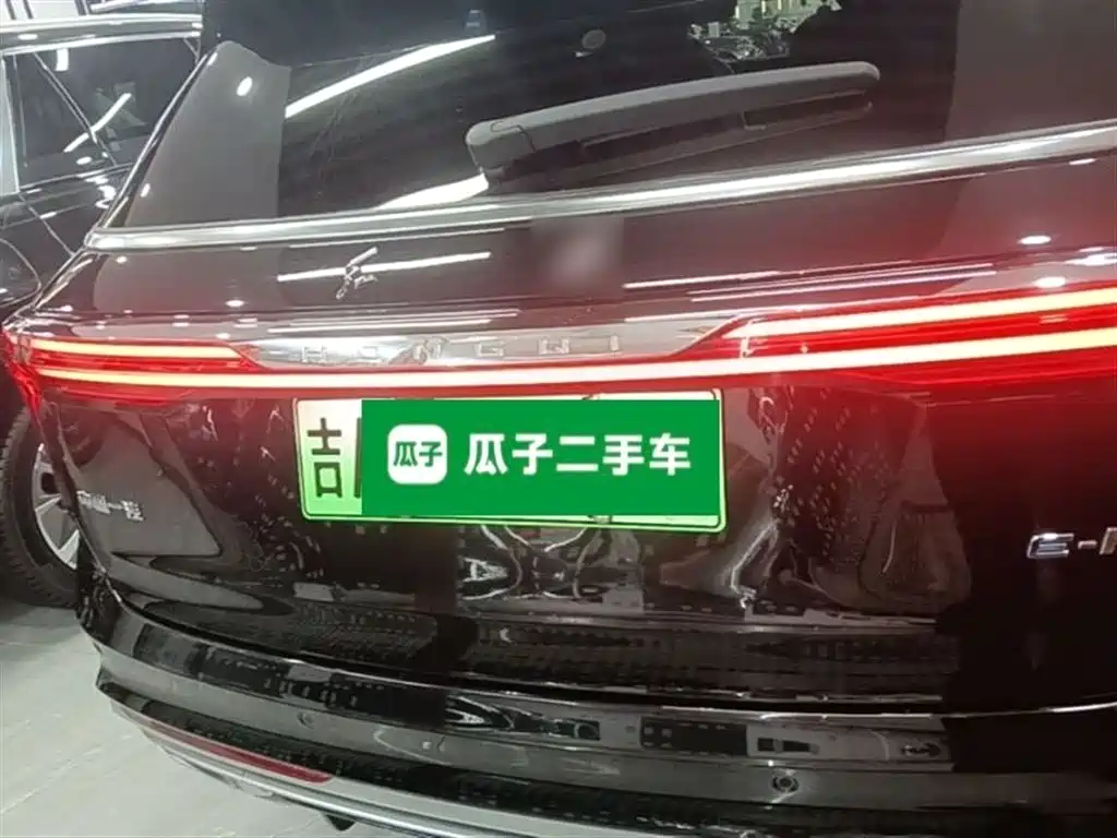 Hongqi E-HS9 2022 690km Qi Xiang Edition (6-seater) фото 6