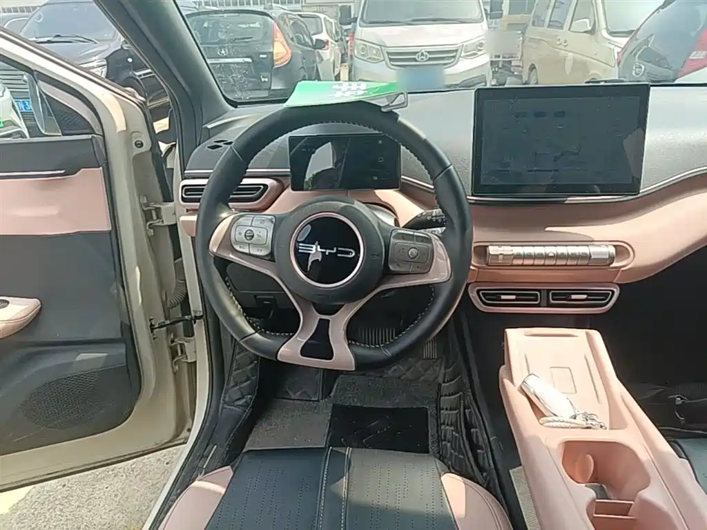 BYD Seagull 2023 Freedom Edition фото 11