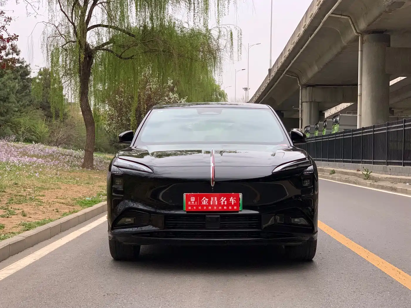 Hongqi HONGQI TIANGONG 08