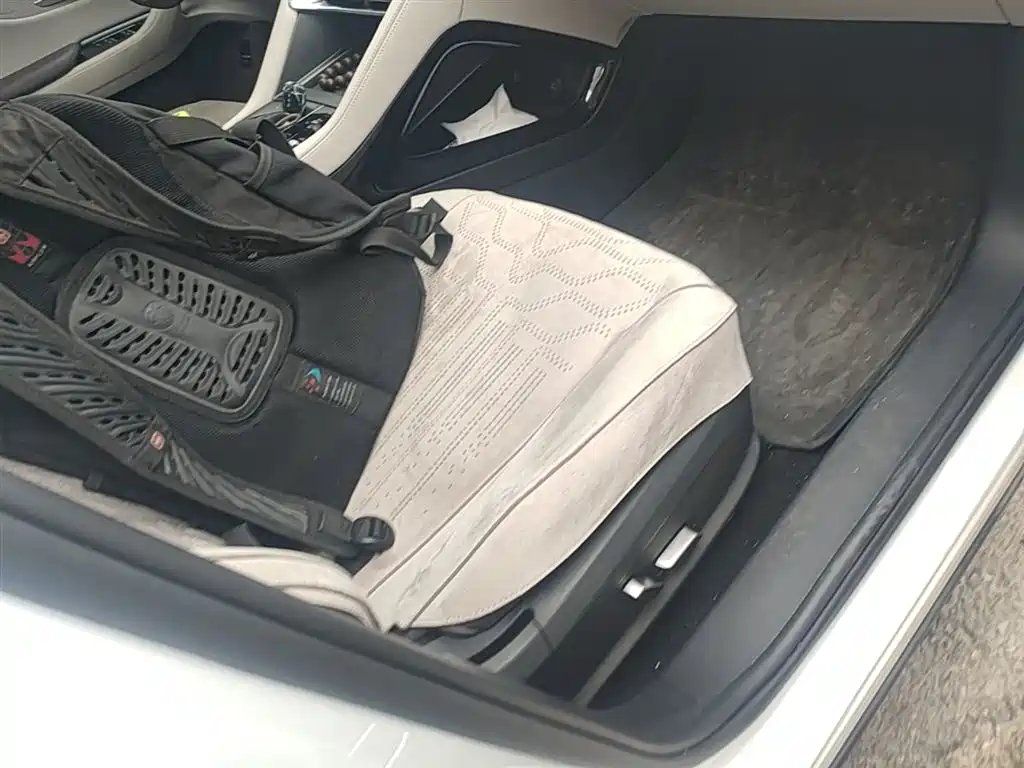 BYD Song PLUS PHEV 2025 DM-i 112KM Honor фото 25