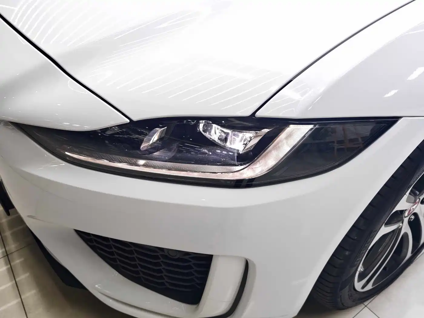 Jaguar XEL 2025 2024 Model 2.0T 250PS R-DYNAMIC S Progressive Sport Edition