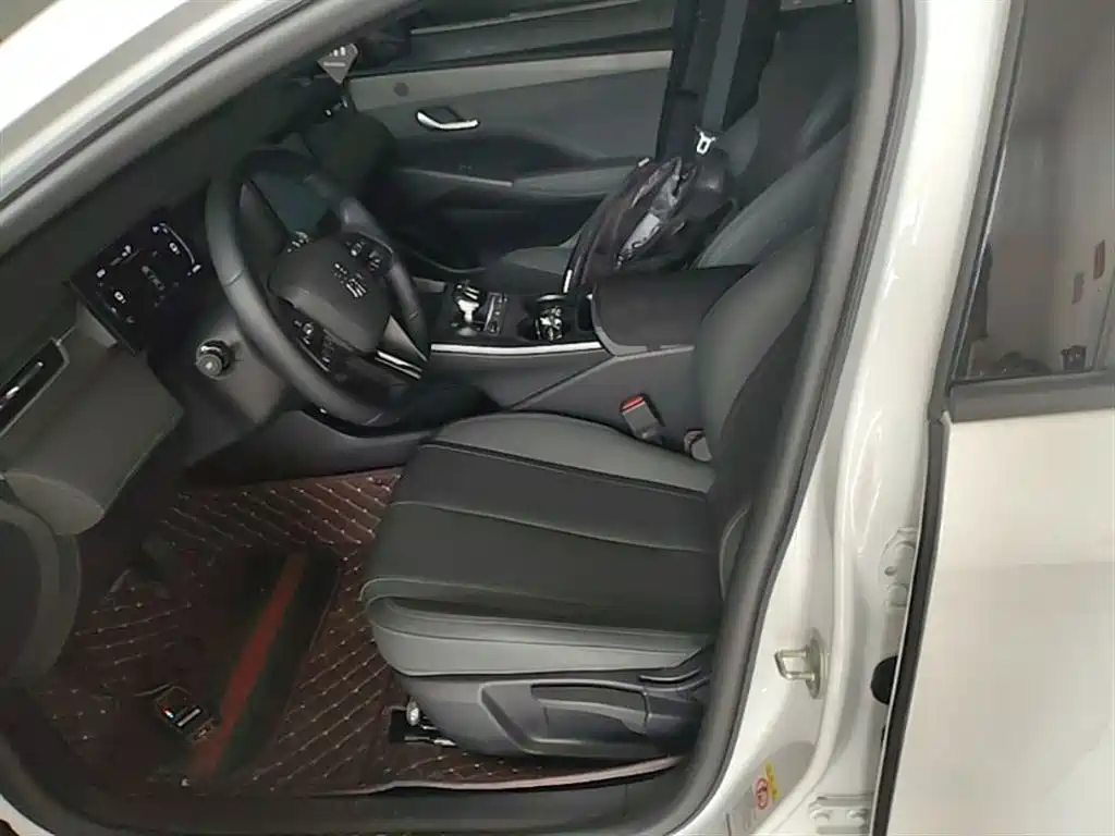 BYD Qin PLUS 2025 DM-i Smart Drive 55KM Leader фото 15