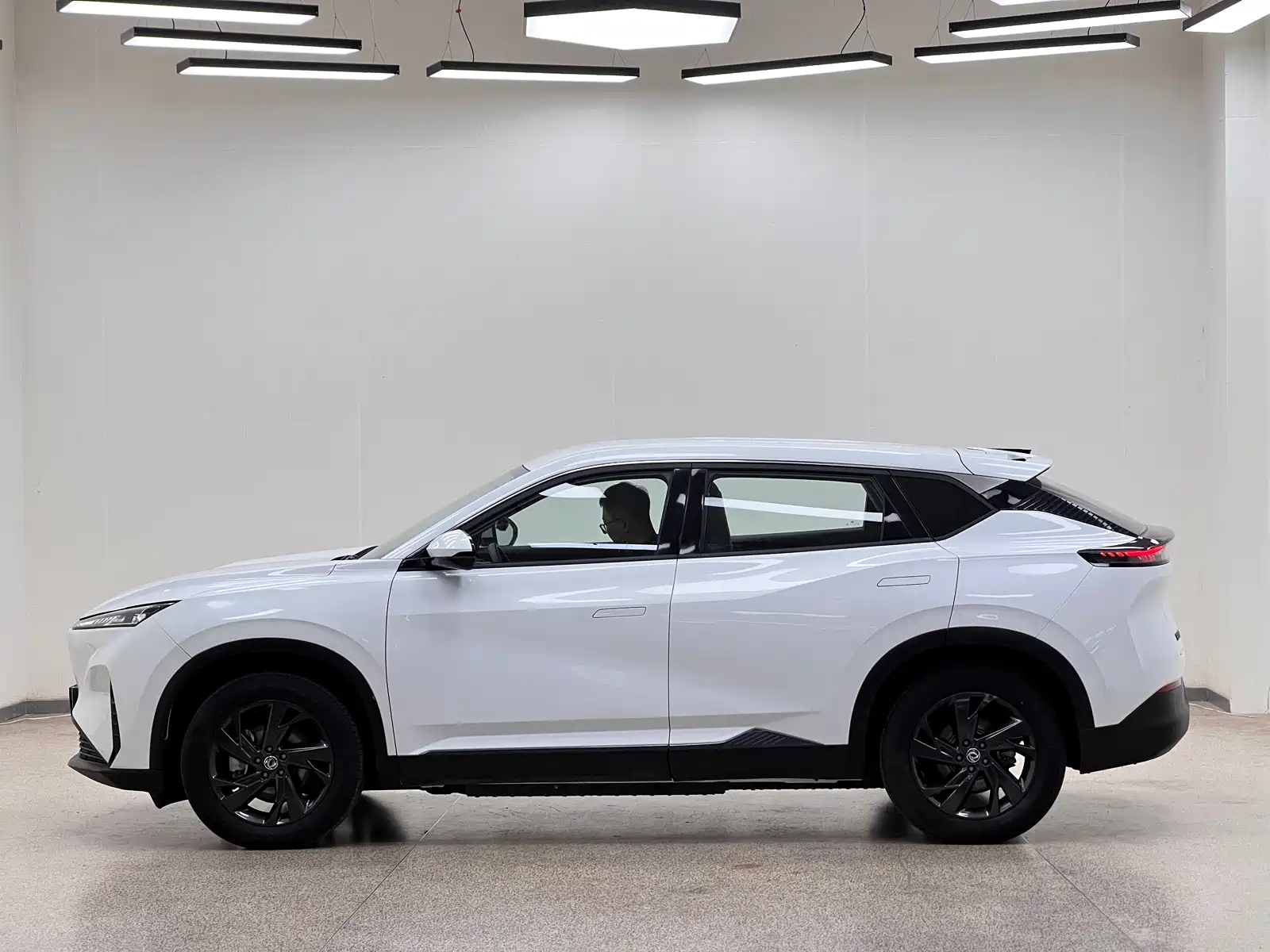 Фото 7 - Dongfeng Aeolus SKY EV01