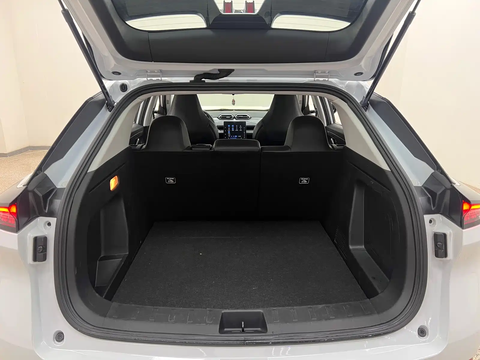Фото 28 - Dongfeng Aeolus SKY EV01