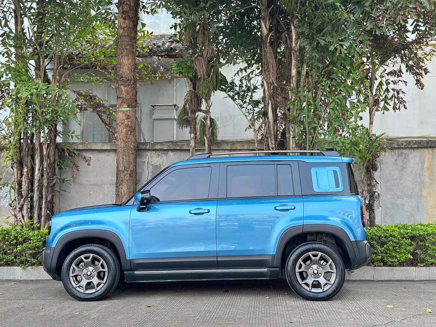 BAOJUN YUE ALSO PLUS