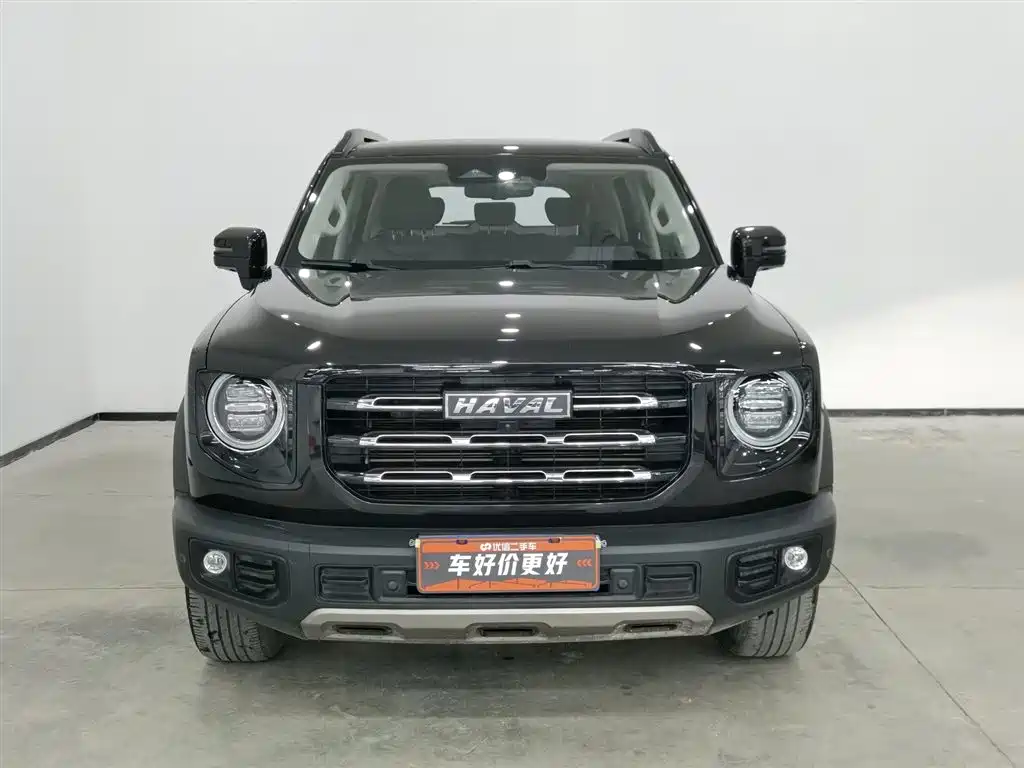 HAVAL BIG DOG