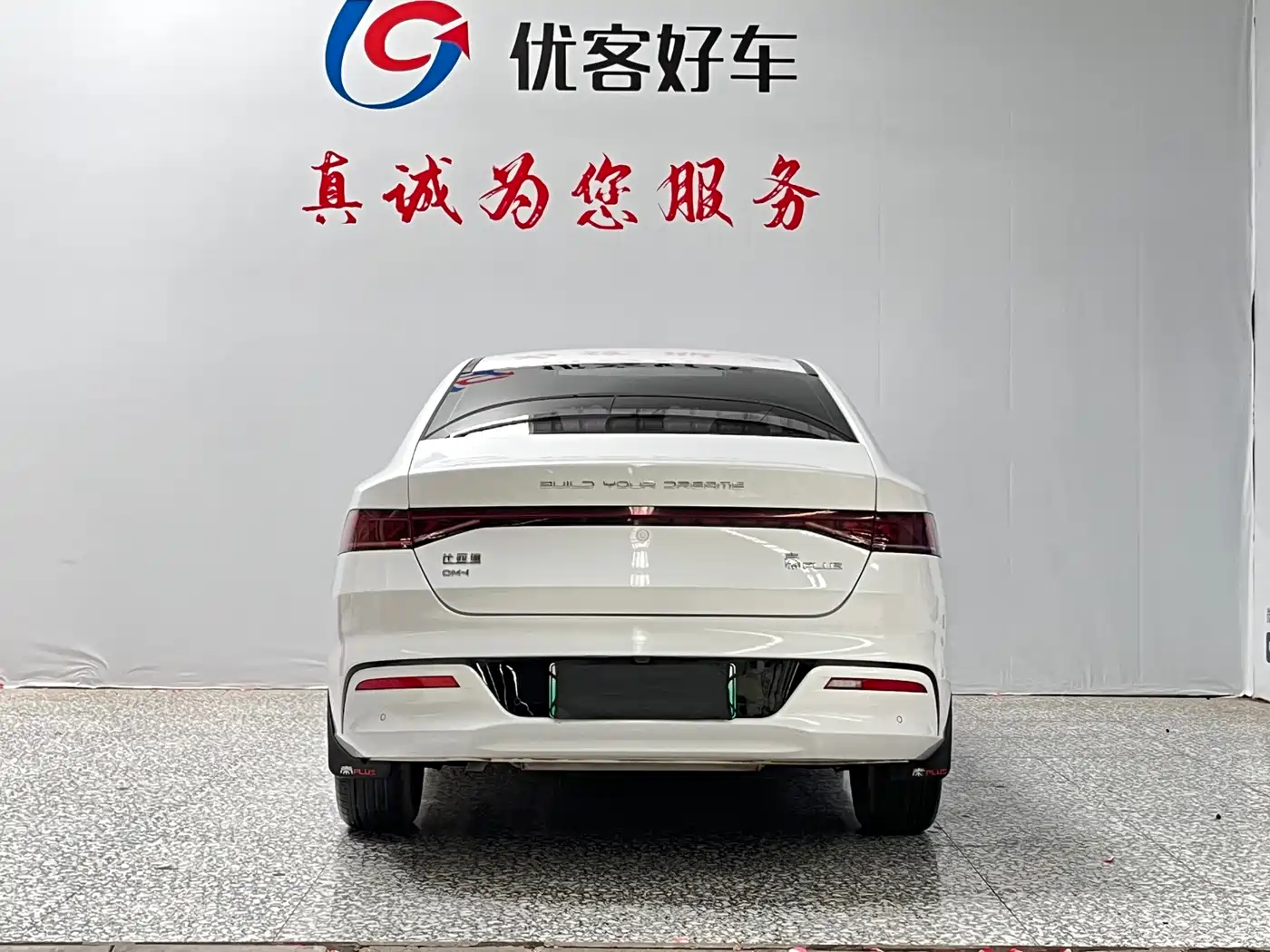 BYD Qin PLUS 2023 Champion Edition DM-i 55KM Surpassing фото 16