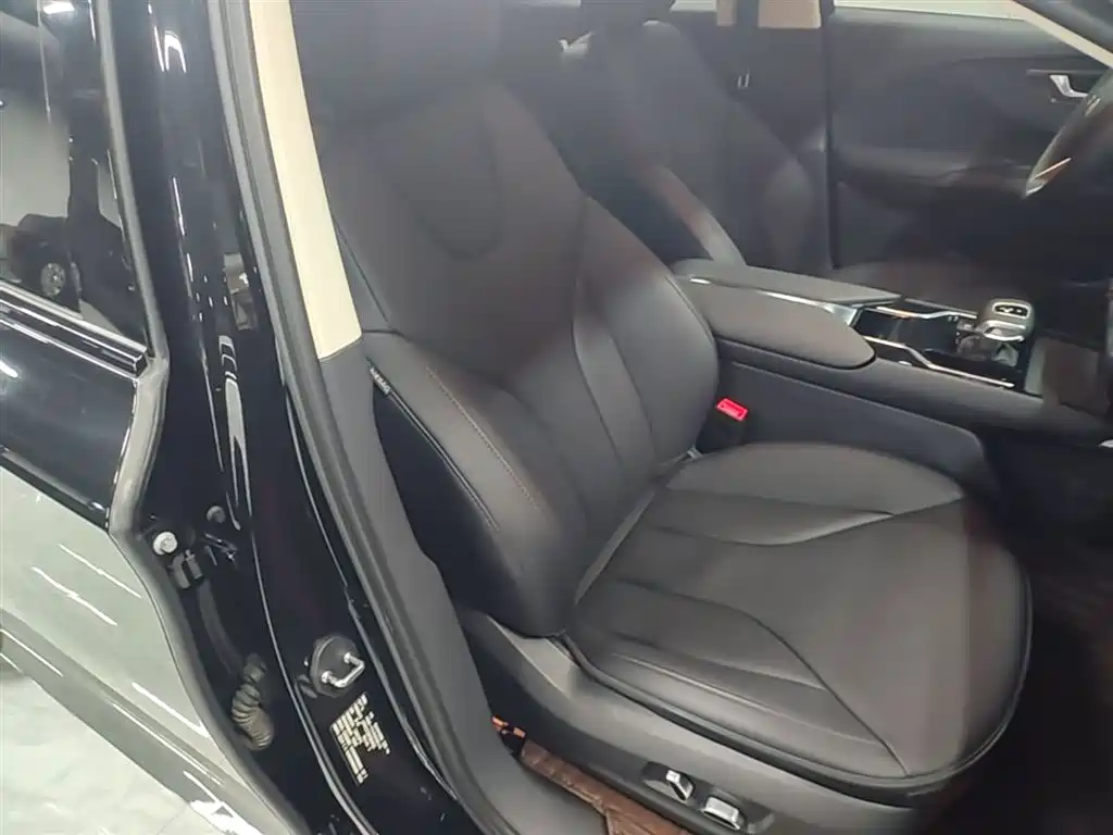 Hongqi E-QM5 2023 Facelift Basic Travel Edition фото 25