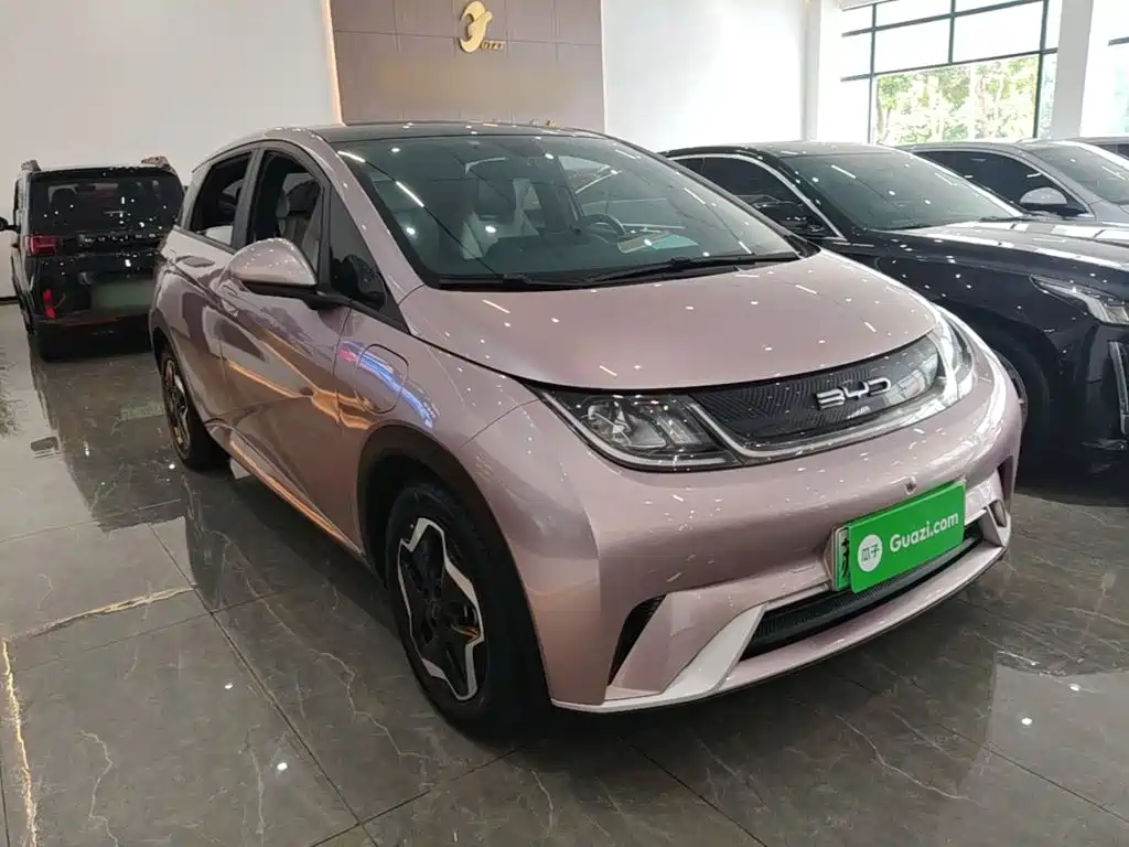 BYD Dolphin 2022 2021 Model 405km Fashion Edition