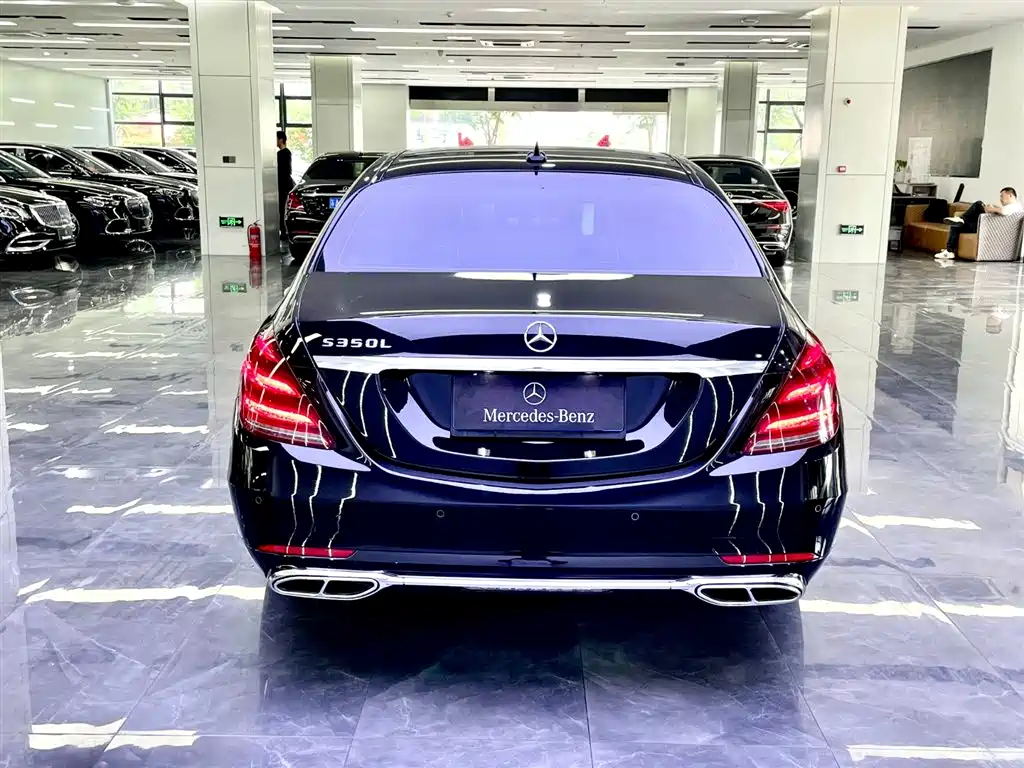 Mercedes-Benz S-Class 2019 S 350 L Premium фото 5