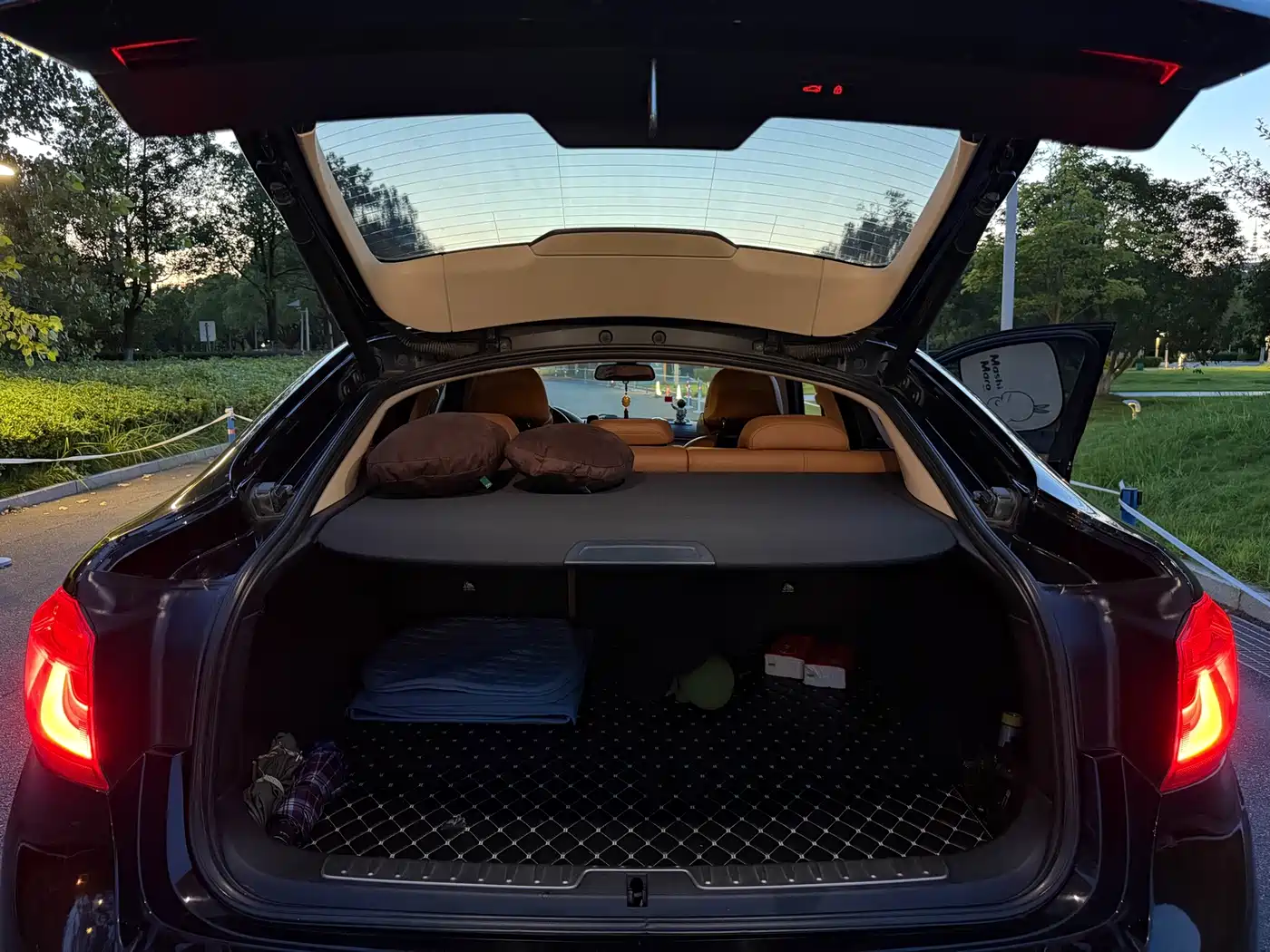 Фото 25 - BMW X6