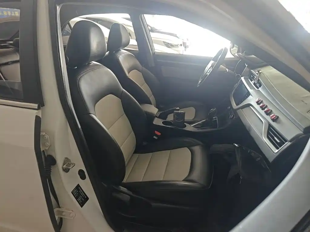 Фото 25 - Geely Vision