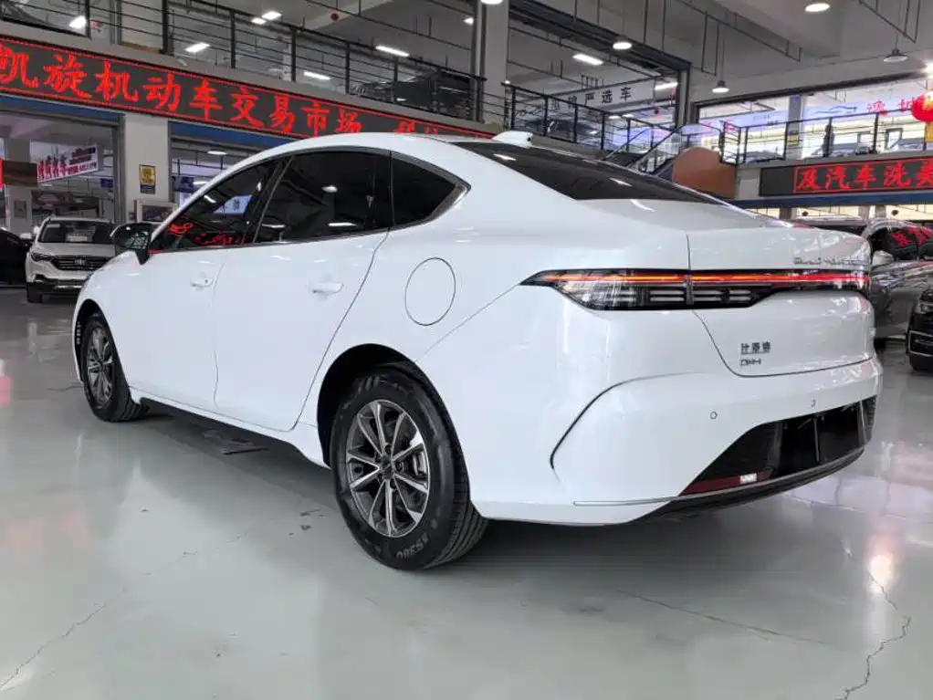 BYD Destroyer 05 2024 2023 Champion Edition DM-i 55KM Luxury