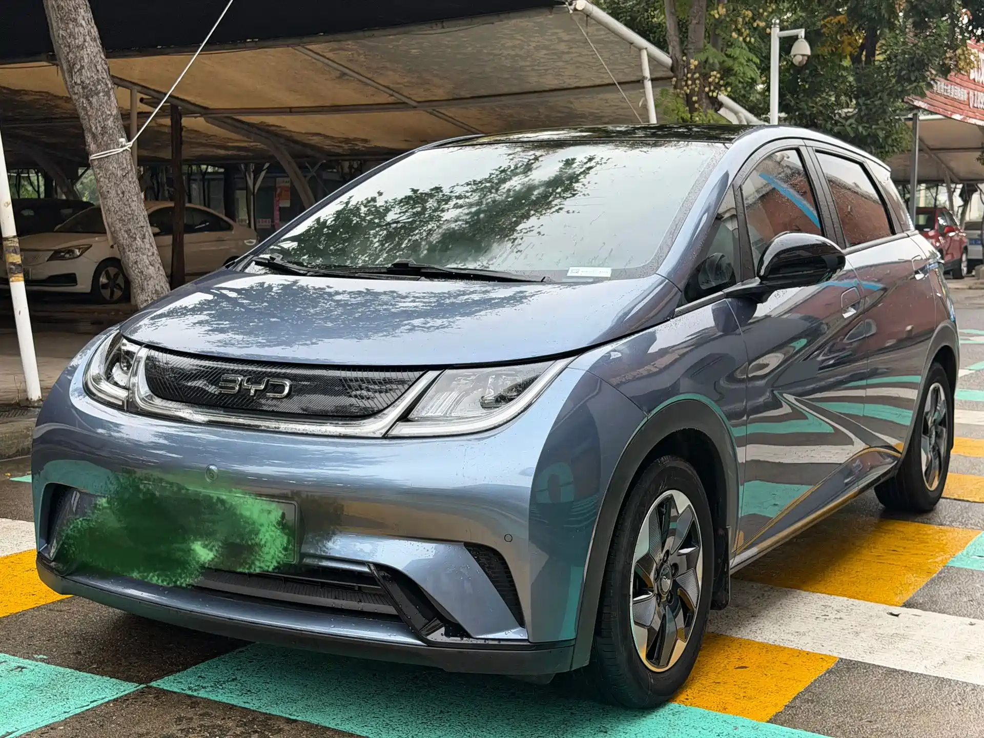 Фото 2 - BYD Dolphin
