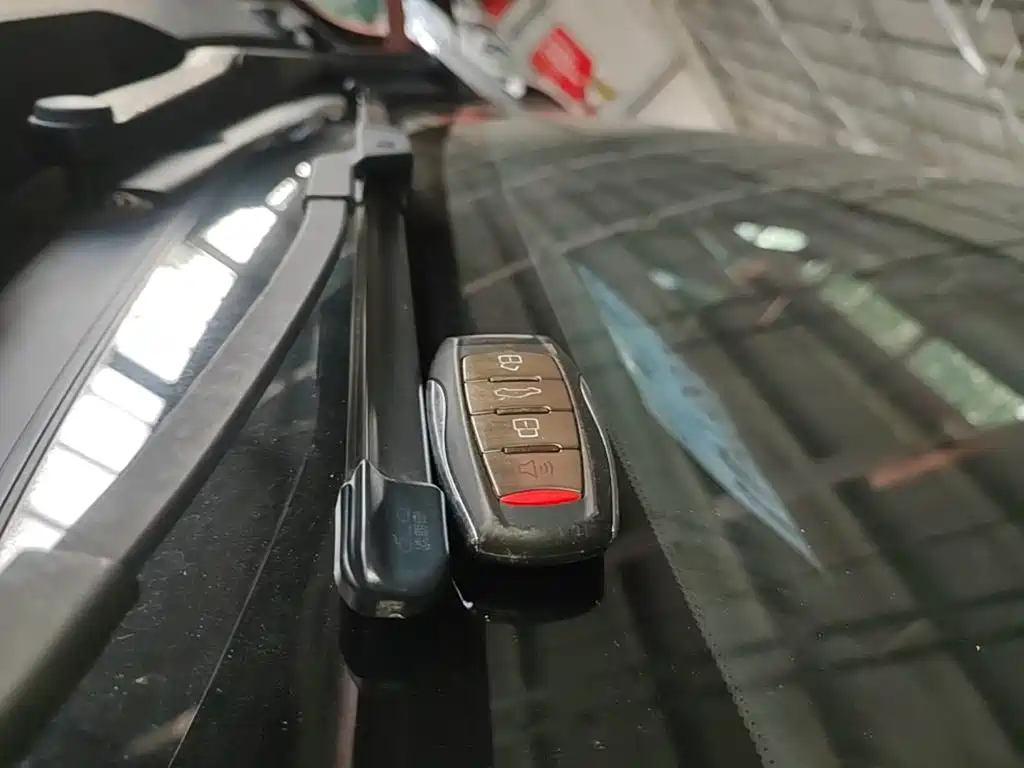 Haval Dargo 2021 2021 1.5T DCT 2WD Border Collie - Wangcai Edition