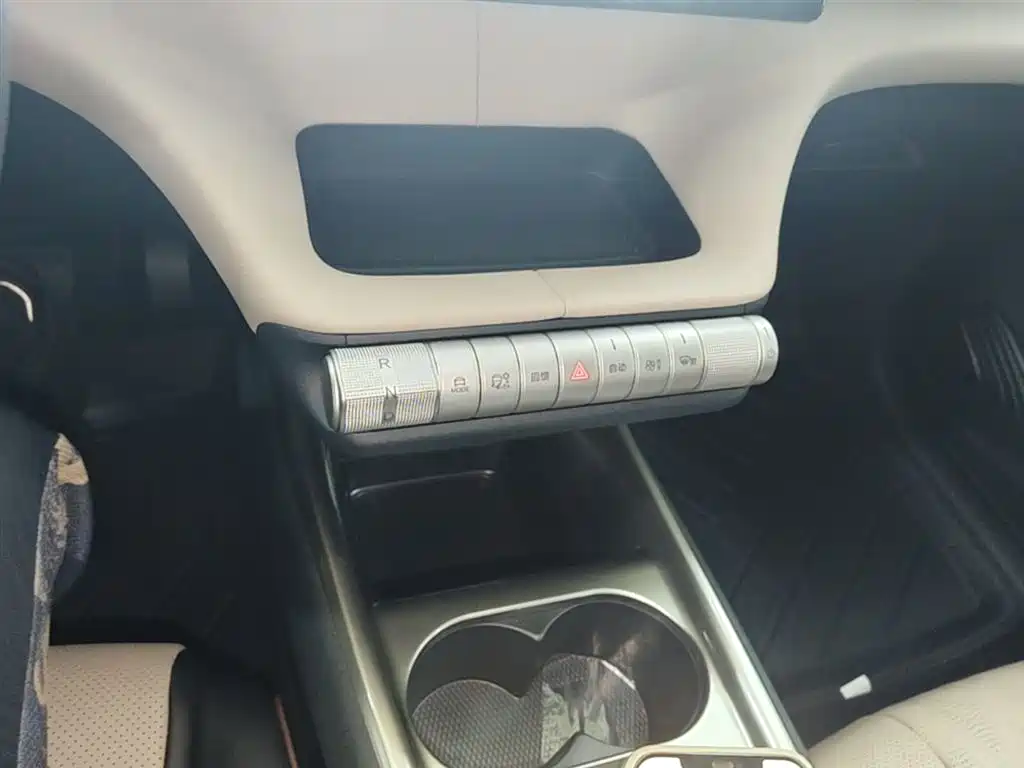 BYD Dolphin 2025 420km Freedom Edition фото 14