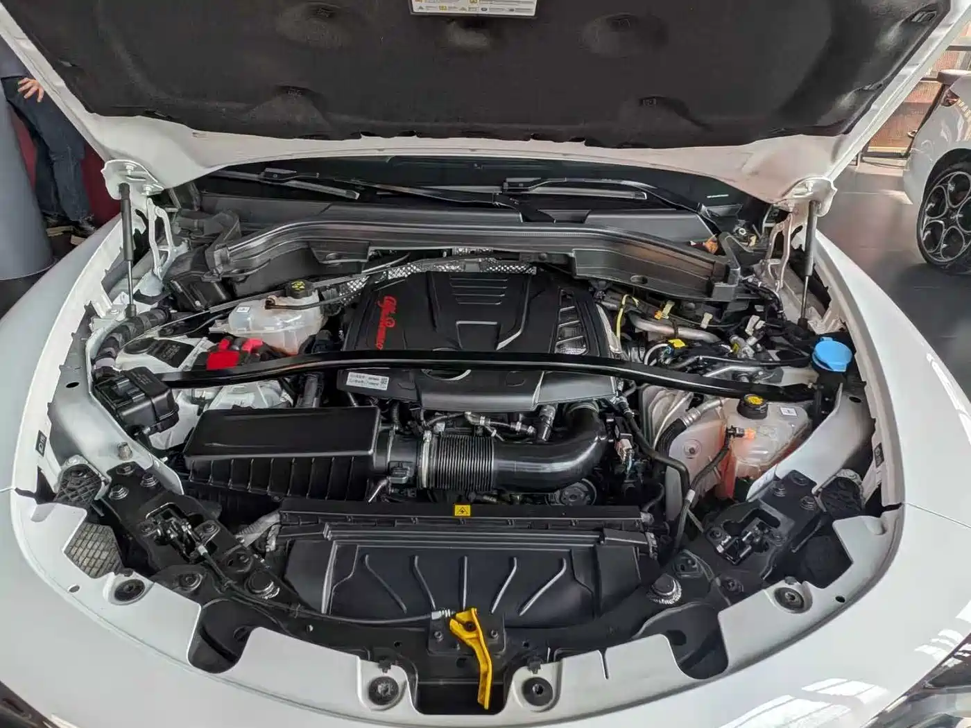 Alfa Romeo Stelvio 2024 2023 2.0T 280HP Veloce Track Edition
