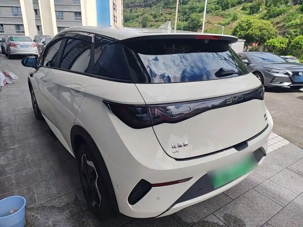 BYD Dolphin 2025 2025 Smart Drive Edition 420km Freedom Version
