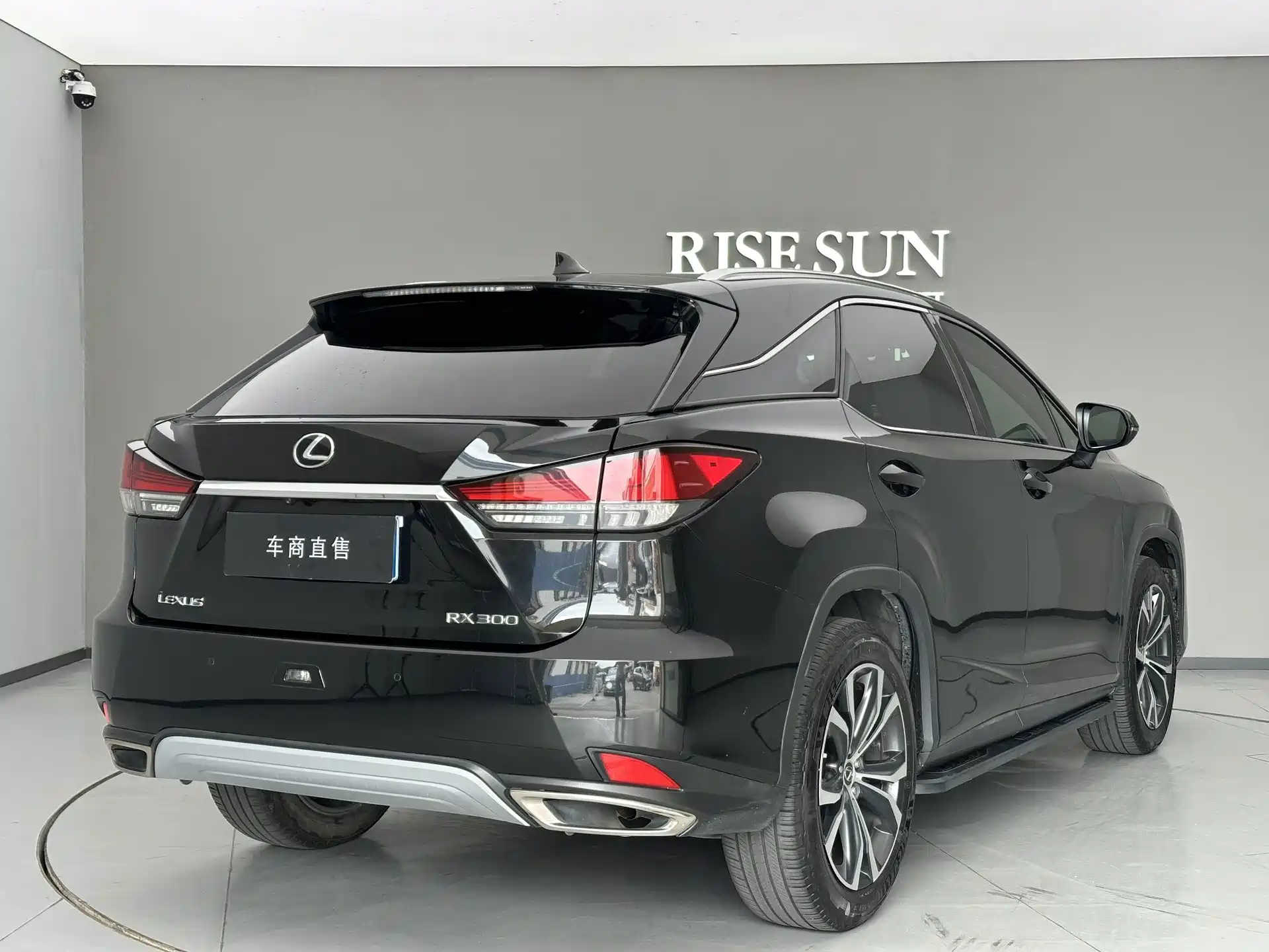 Фото 8 - Lexus RX
