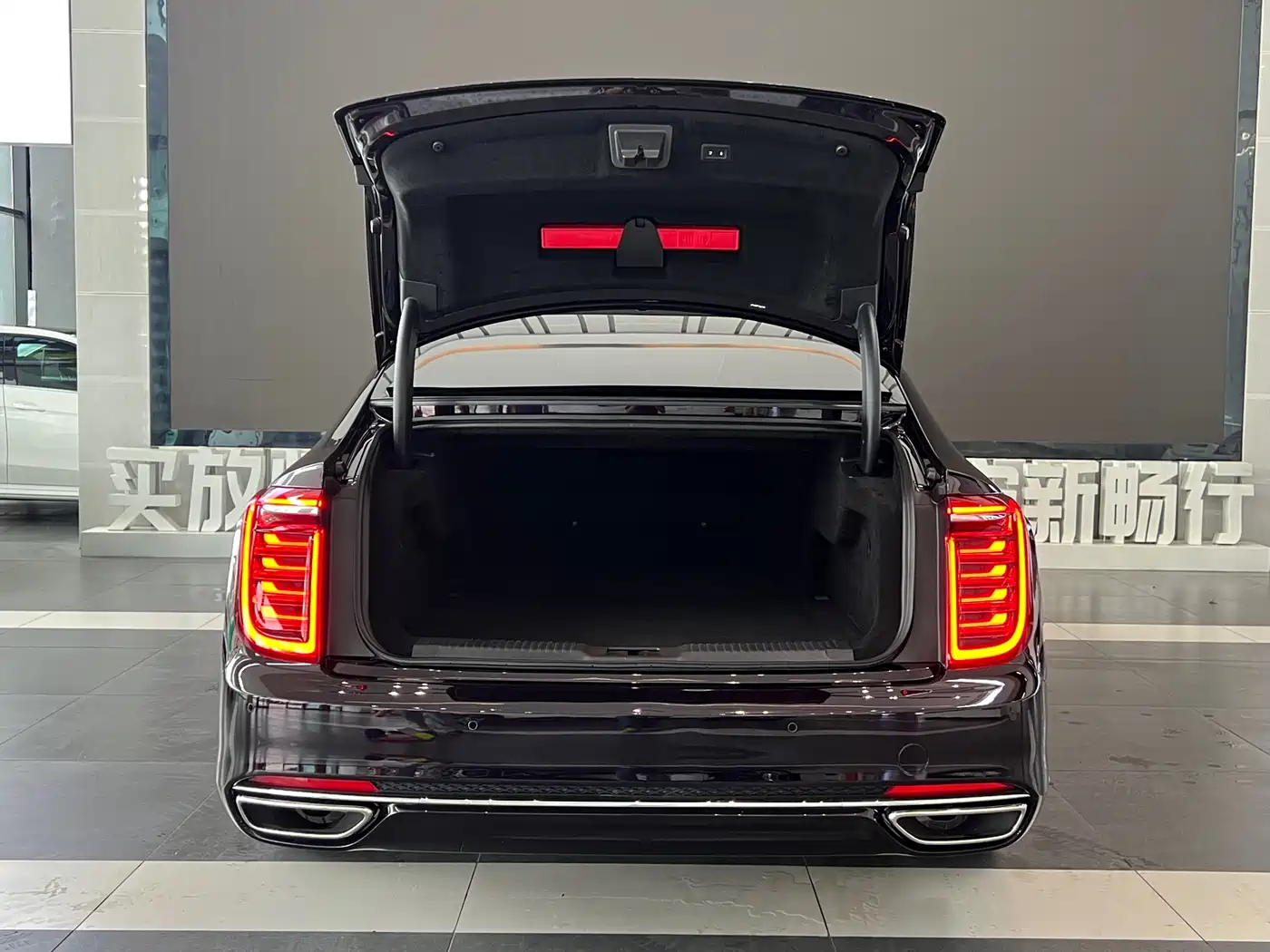 Hongqi H9 2020 2.0T Smart Connection Qi Chang Edition фото 8