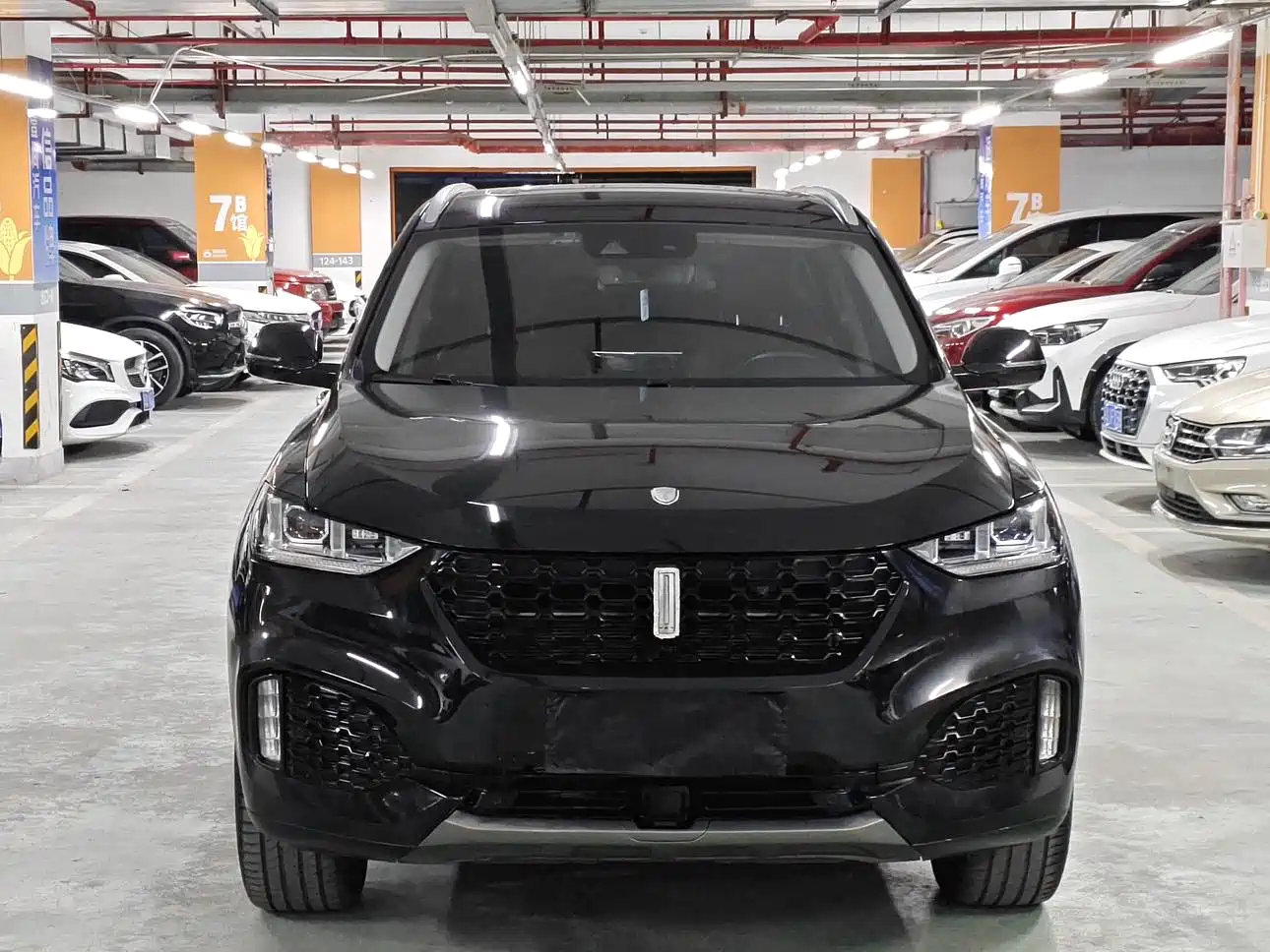 Фото 3 - WEY VV6