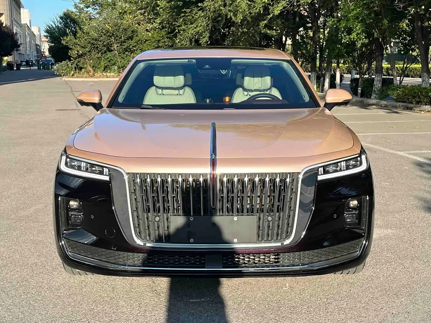 Hongqi H9, миниатюра 2