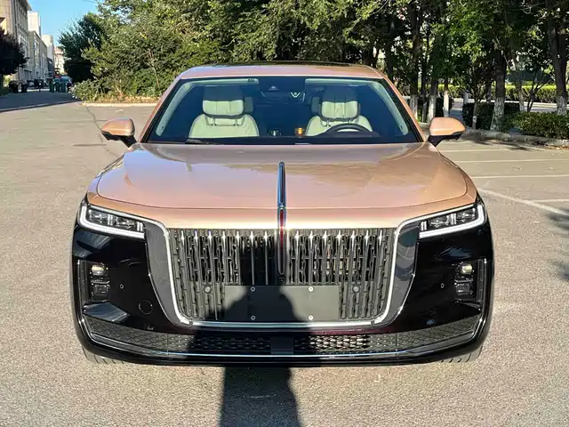 Hongqi H9 2022 2.0T Smart Connect Flag Smooth Edition — фото 2